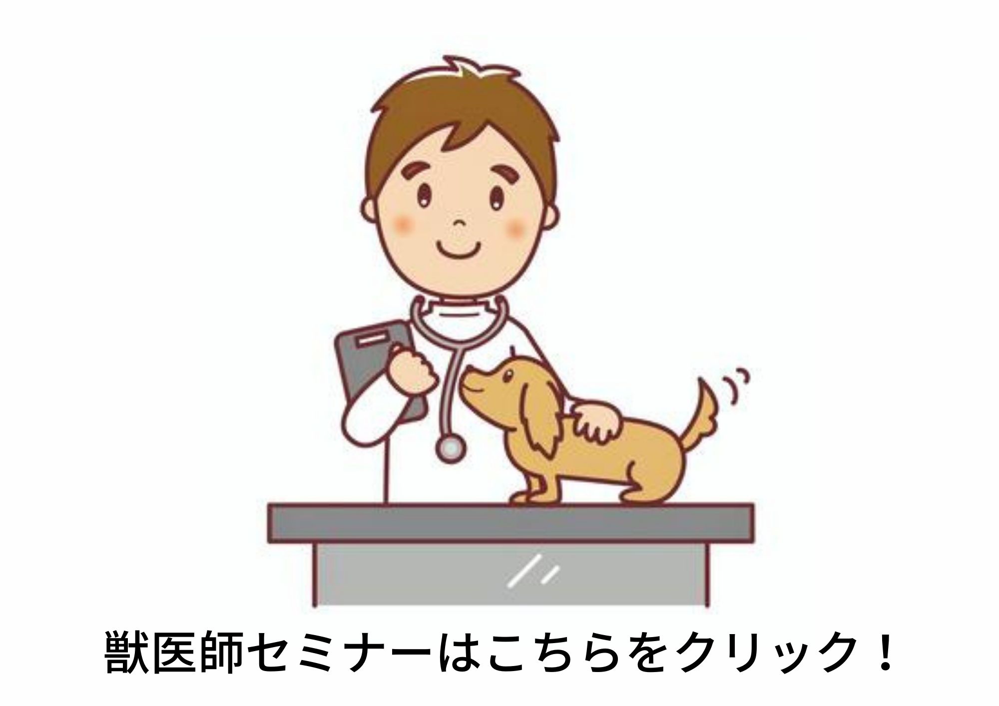 Animal Doctor